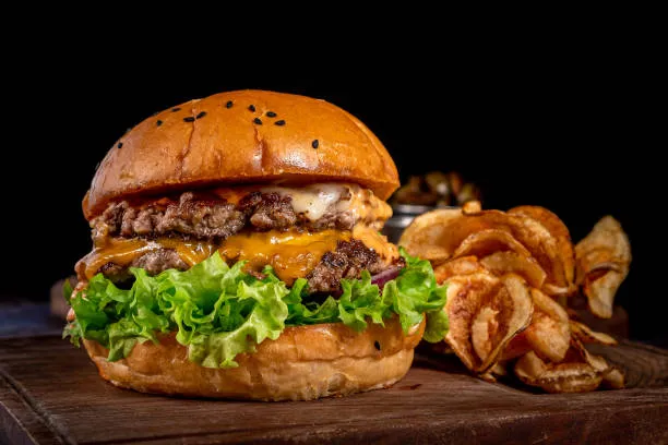 Mexican Burger